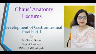 Development of Gastrointestinal Tract Part 1 [upl. by Evelinn606]