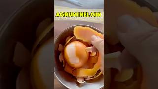 Preparare gli agrumi nel Gin 🍊gin agrumi bartender agricoltura [upl. by Enitsed]