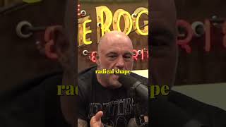 Joe Rogan on his stargazing experience astronomy milkyway joerogan [upl. by Jeniffer]