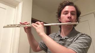 Petalburg City Theme on Flute [upl. by Avram]