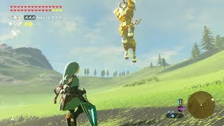 Zelda BOTW Fierce Deity Link VS Gold Lynel Fierce Deity Sword Only [upl. by Kilam]