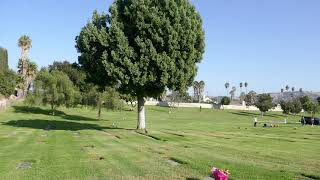 Schlitze Surtees Freaks Actor Grave Queen of Heaven Cemetery Rowland Heights LA CA USA Summer 2020 [upl. by Cargian]