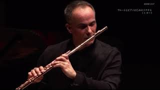 D Milhaud  Sonatine for Flute and Piano Op 76 [upl. by Anij259]