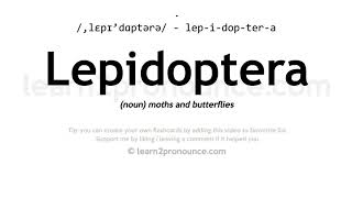 Pronunciation of Lepidoptera  Definition of Lepidoptera [upl. by Barta]