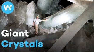 Crystal Palace hidden beneath the Mexican desert  The Mystery of the Giant Crystals [upl. by Sudhir]