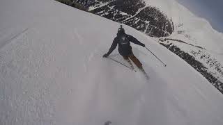 Carving Ski Speed Carve in the Alps Ski Team de Pijp [upl. by Husha]