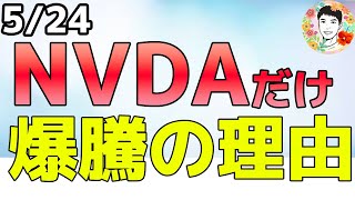 指数は下げるも心配なし！NVDAの1人勝ち！【524 米国株ニュース】 [upl. by Cosetta943]