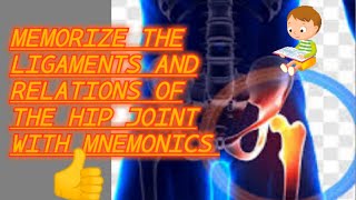 memorize the ligaments and relations of hip joint with mnemonics [upl. by Epoh742]