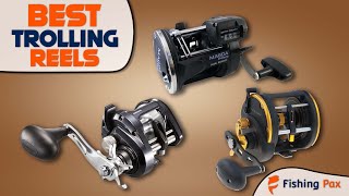 Best Trolling Reels On The Market [upl. by Mide]