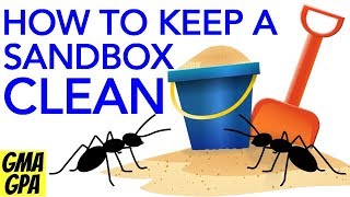 How To Help Keep Your Sandbox Clean amp Free Of Insects Spiders Bugs amp Slugs  Safer For Children [upl. by Procora]