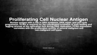 Medical vocabulary What does Proliferating Cell Nuclear Antigen mean [upl. by Anilrats]