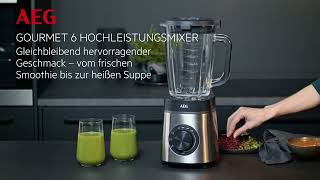 AEG Gourmet 6 Standmixer TB616ST  Für Smoothies Sorbet und Suppen [upl. by Guido703]