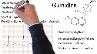 Quinidine uses and side effects  Explained simply quinidine ecg [upl. by Narda]