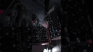 Moog DFAM techno thump moogsynthesizer moogmodular technomusic eurorack synth synthesizer jam [upl. by Yecaw]