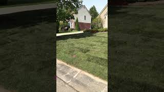 Front yard sod installation [upl. by Wira320]