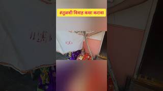 तुळशी विवाह कसा करावा tulsi tulsivivahtulsivivah2024 sujashappyworld shorts [upl. by Ranee]