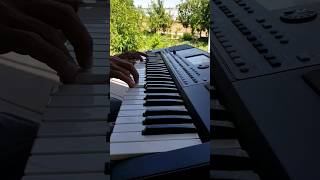 Ragheb alama  Nasini el donya piano cover turkmenistan music piano pianocover korgpa600 Korg [upl. by Arualana]