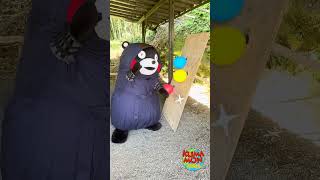 Ninja Kumamon Shuriken Training Day ninja shuriken kumamon [upl. by Emylee941]