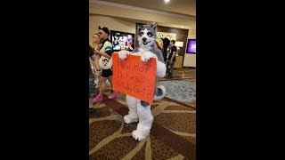 How Hot Do Fursuits Actually Get [upl. by Yztim]