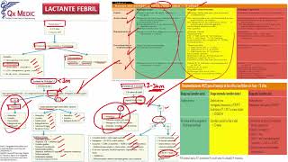 Pediatría  5 Fiebre sin foco 02 Shock Séptico [upl. by Yrtua]