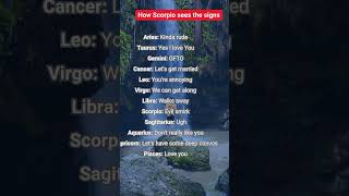 How Scorpio sees the signs astrology zodiasigns birthsigns horoscopes automobile [upl. by Noach]