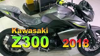 Kawasaki Z300 2018 [upl. by Enicnarf992]