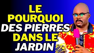 LE POURQUOI DES PIERRES PRECIEUSES DANS LE JARDIN 1 Dr Adelard Ndaye [upl. by Nomled]