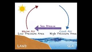 Land and Sea BreezeStudy fór class 5 🙏🙏👍👍 [upl. by Eeliak]