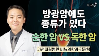 방광암에도 종류가 있다 순한 암 VS 독한 암  가천대 길병원 비뇨의학과 김광택 [upl. by Fotinas]