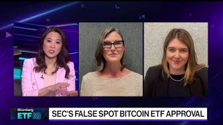 Arks Cathie Wood 21Shares Snyder on Spot Bitcoin ETF [upl. by Baerl618]