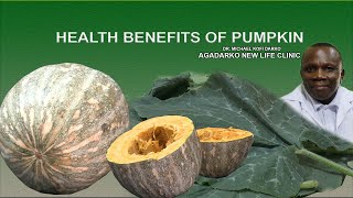 AGADARKO PUMPKIN FRUIT  SEED [upl. by Aikahs]