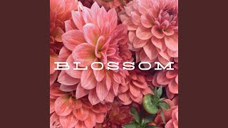 Blossom [upl. by Galan327]