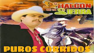 EL HALCON DE LA SIERRA MIXPUROS CORRIDOS [upl. by Allez]