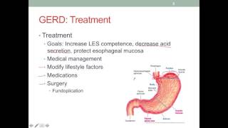 MNT Diseases of the Esophagus [upl. by Hguh]