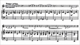 Küchler Ferdinand Opus 11 for violin  piano 1st position [upl. by Suoilenroc]