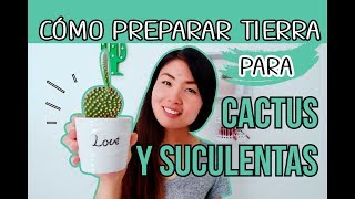 COMO PREPARAR TIERRA PARA CACTUS Y SUCULENTAS  FÁCIL Y RÁPIDO [upl. by Llij663]