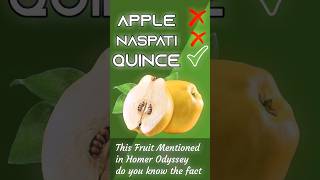 This Fruit Mentioned In Homer OdysseyFact and health benefit about Quince Fruitshortsshortvideo [upl. by Hamaso]