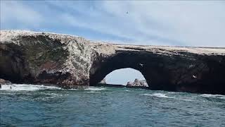 Ballestas islands Peru 2022 [upl. by Hasila322]