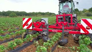 4DISC  RANEX  Rankenschneider für Erdbeerpflanzen im Foliendamm [upl. by Huxley]