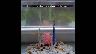 Flourocarbon vs Monofilament [upl. by Monahan430]