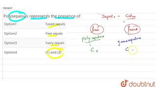 Polysepalous represents the presence of [upl. by Therron]