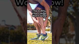 This Is Why Your Calves Wont Grow [upl. by Dj]