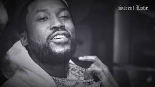 FREE FOR PROFIT Meek Mill x G Herbo Type Beat  quotStreet Lovequot [upl. by Andert]