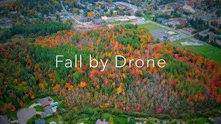 Fall by Drone 🍁🍂 [upl. by Magnum]