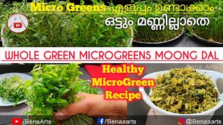 Micro Greens എളുപ്പം ഉണ്ടാക്കാം  Whole Green Microgreens Moong Dal  Healthy Micro Green Recipe [upl. by Eronaele]