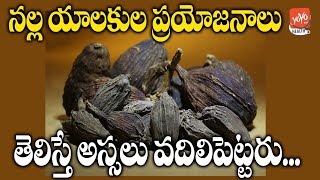 Health Benefits Of Nalla Yalukalu  Black Cardamom Benefits  GOOD HEALTH  YOYO TV Health [upl. by Ydak832]