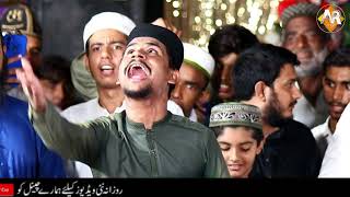 Al Nabi Sallu Alaih  Best Naat Of Owais Raza Qadri  Latest Naat E Shafif Video  Naats Islamic [upl. by Launcelot943]