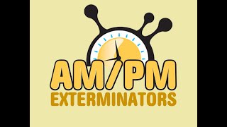 Seattle exterminators Yellow Jacket Control Prevention amp Removal of Yellow Jackets [upl. by Adlesirhc]