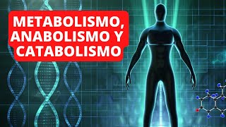 Metabolismo anabolismo y catabolismo explicación diferencias y ejemplos👨‍🔬 [upl. by Nannie]