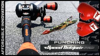 KastKing Speed Demon Pro PUNCHING ROD  Everything You Need To Know to Start Bass Fishing [upl. by Attehcnoc506]